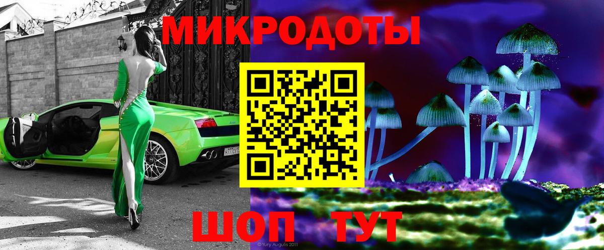 Зерноград  Псилоцибиновые грибы мицелий  Вход с VPN 